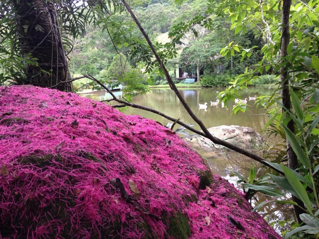 Hotel Pousada Esmeralda Itatiaia  Dış mekan fotoğraf
